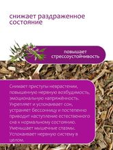 Пустырник обыкновенный