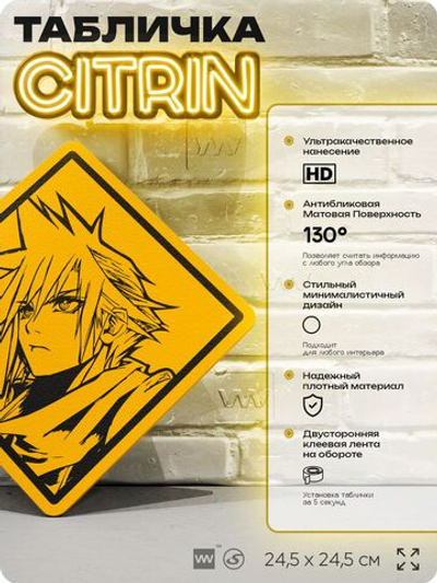 Табличка декоративная "Final Fantasy, Клауд Страйф, Cloud Strife" на дверь и стену, прикольная штука в подарок геймеру, декоративный знак, 24,5х24,5 см, Айдентика Технолоджи