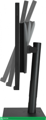 Монитор Asus ProArt PA329CV черный (90LM06P1-B01170)