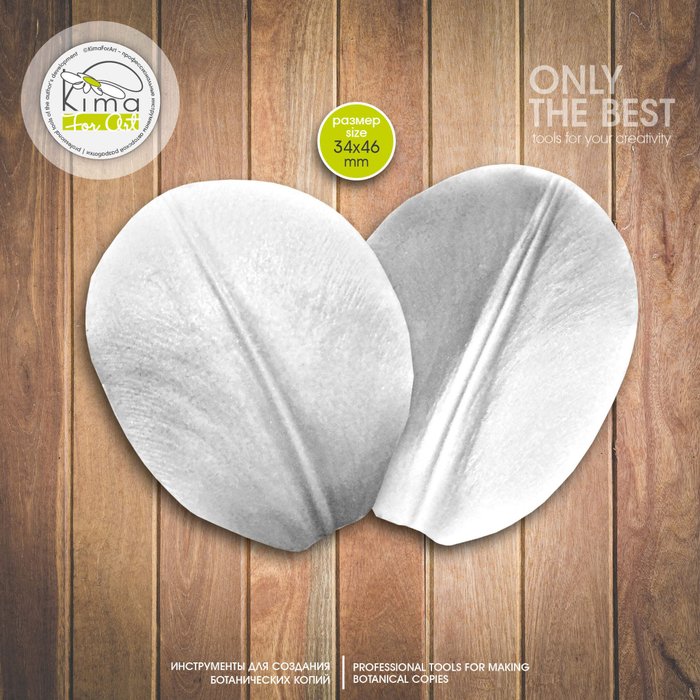 Тюльпан лепесток маленький круглый