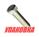 Болт крепления редуктора Yamaha 25-90, F25-100, Omax (упаковка из 10 шт)