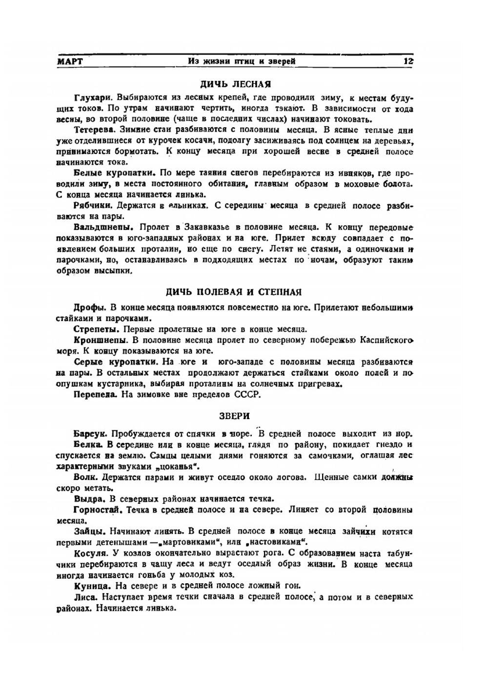 Год охотника. Настольный справочник-календарь | С. С. Качиони