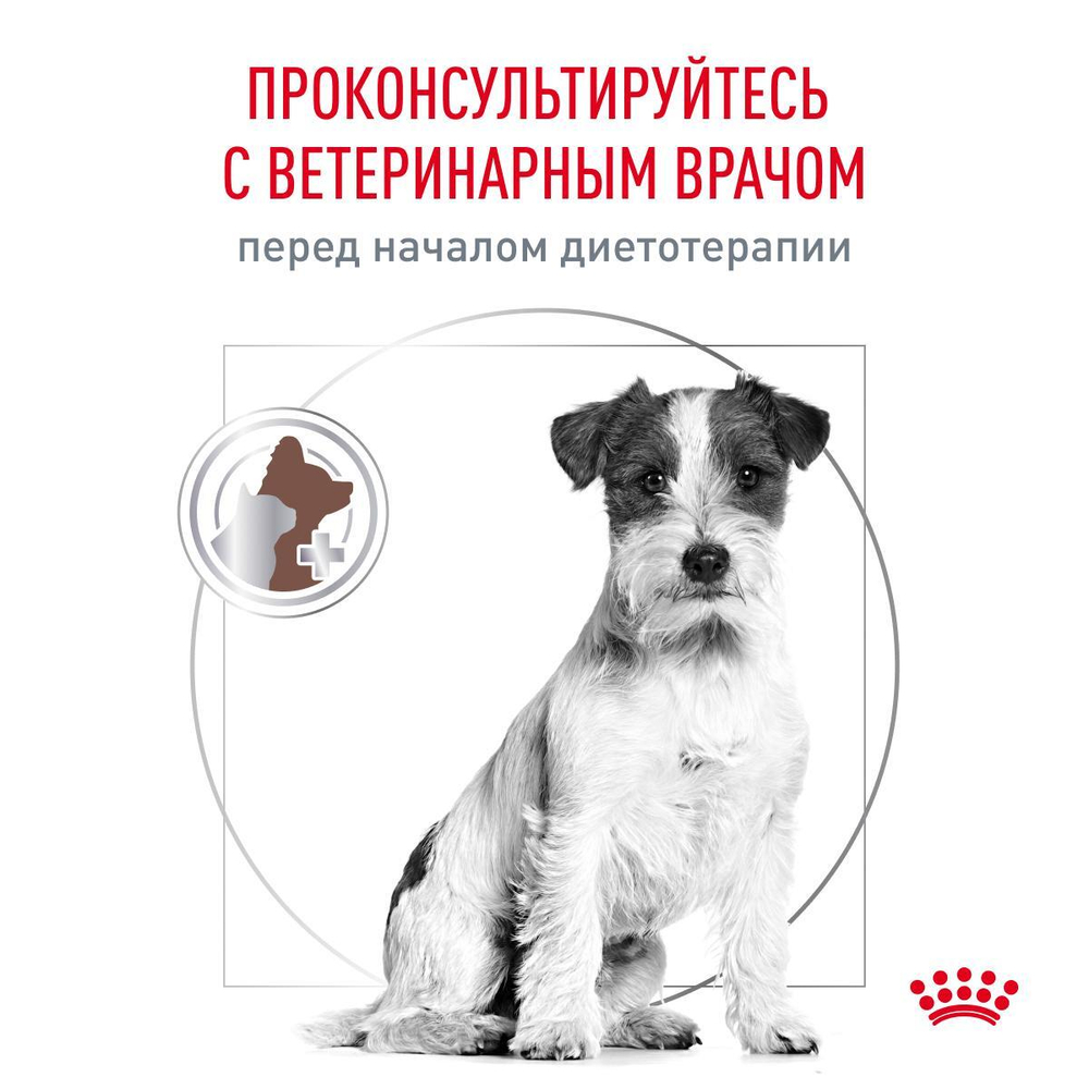 Royal Canin GASTROINTESTINAL SMALL DOG LOW FAT корм сухой для взрослых собак мелких пород при нарушениях пищеварения 1 кг
