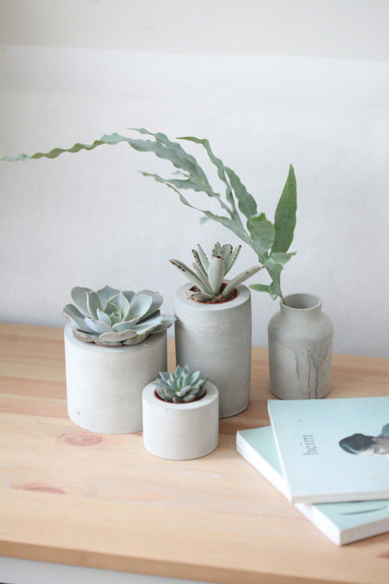 Нежный набор для озеленения