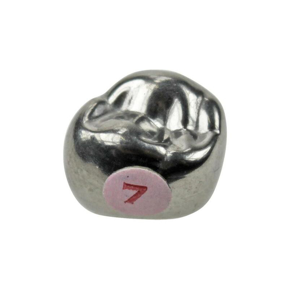 Первый верхний правый моляр, размер 7 (D-UR-7)