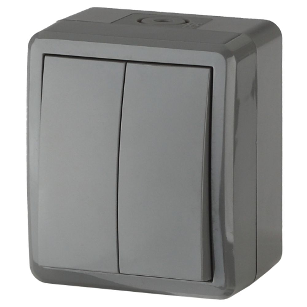 Выключатель ЭРА Эксперт 11-1404-03 двойной IP54 10АХ-250В ОУ серый | Эра Эксперт
