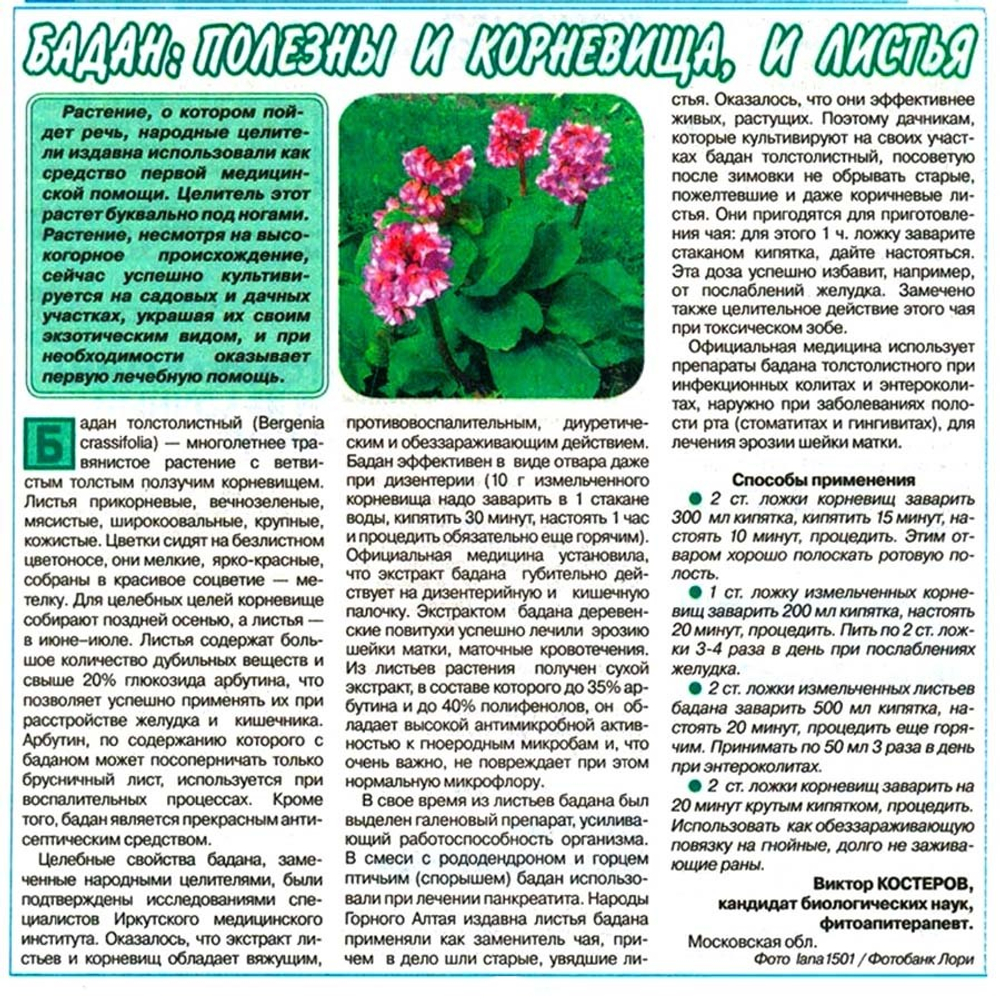 Купить «Какао-фитосвечи №9 При эрозии и лейкоплакии 10шт.» в Томске -  «Адонис».