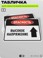 Табличка для обеспечения безопасности "Опасность высокое напряжение", для производства, предприятия, организаций, 40х30 см, Silver Plane x Айдентика Технолоджи