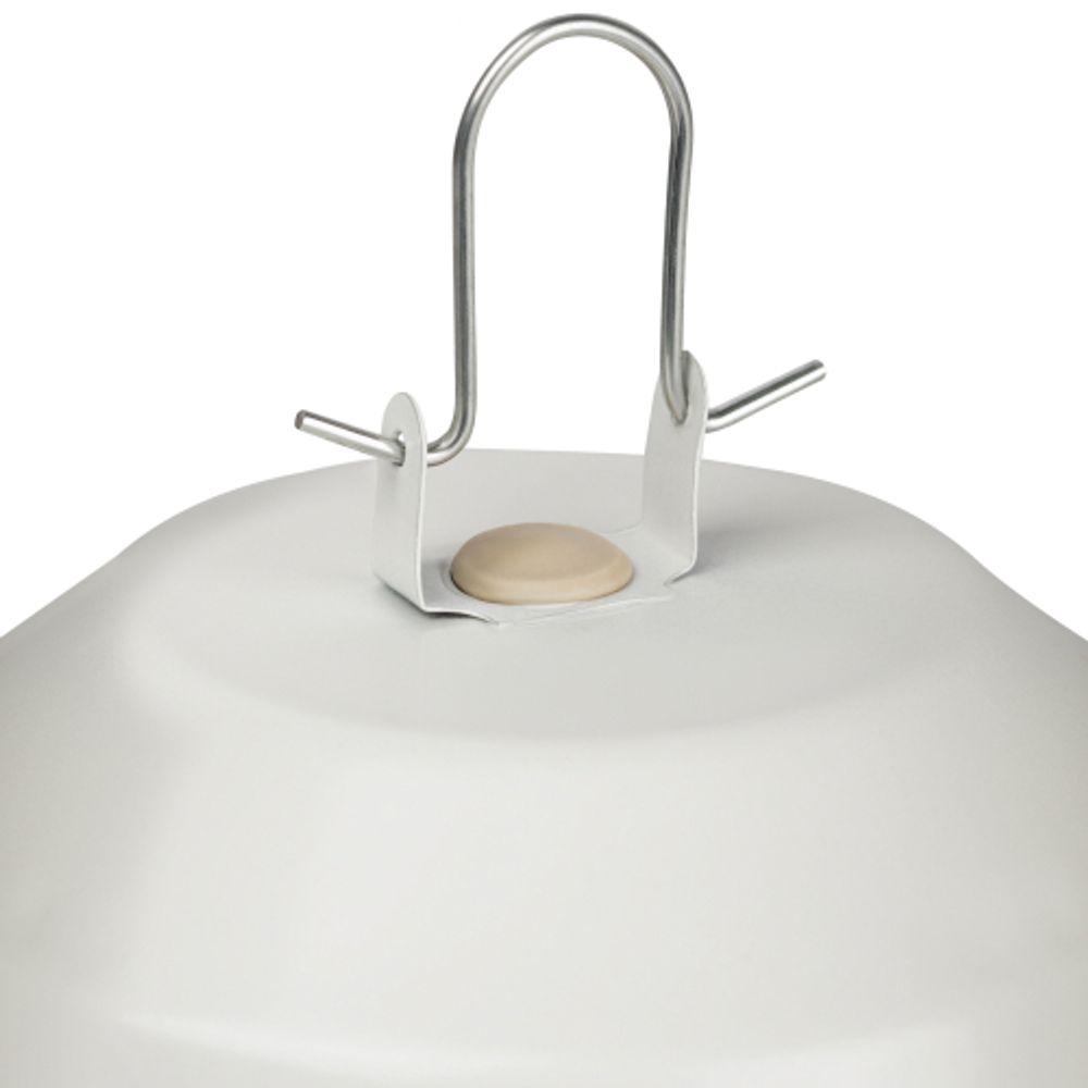 Светильник ЭРА НСП 02-100-001 без решетки Желудь сталь / стекло IP54 E27 max 100Вт 262х172 белый | Светильники НСП (Желуди)