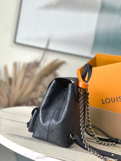 Louis Vuitton Backup