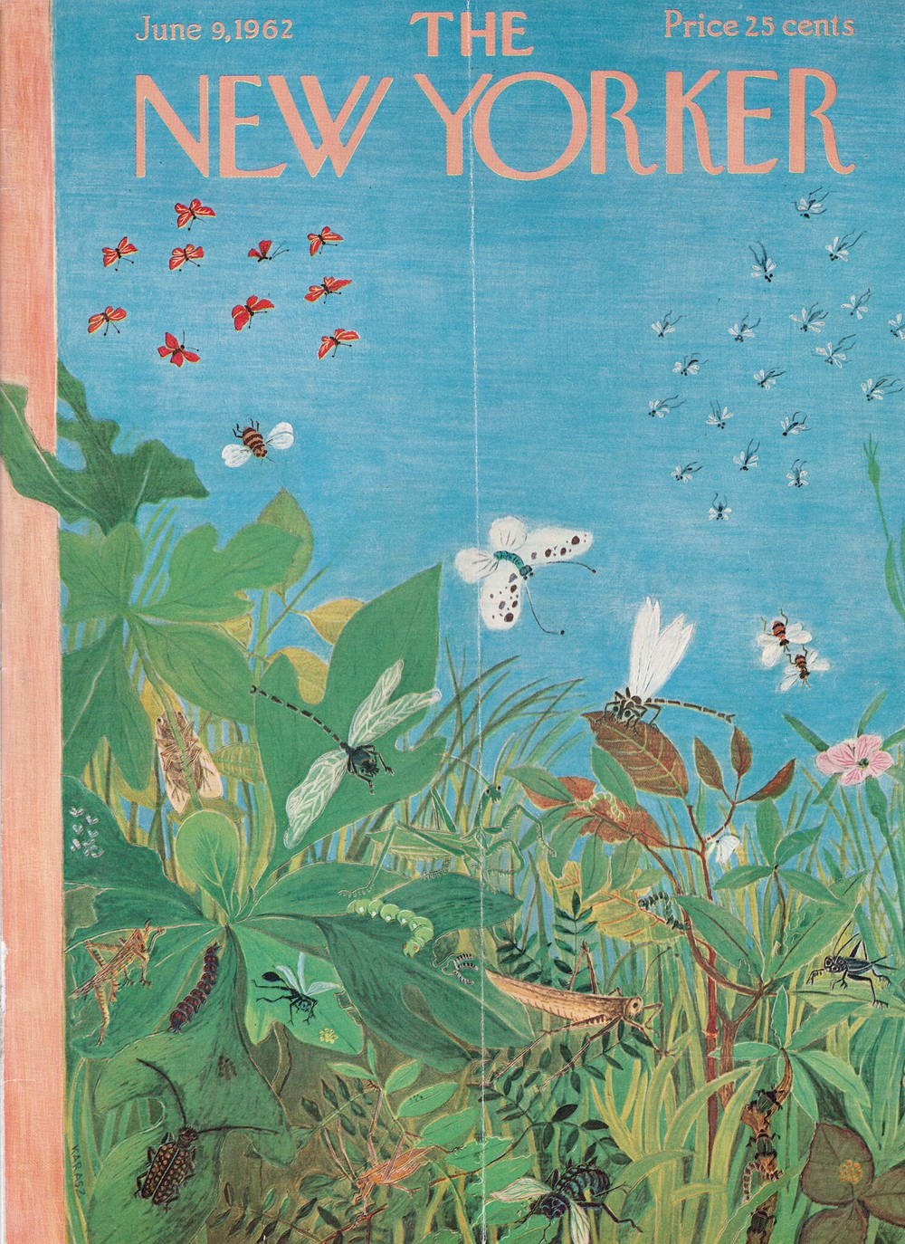 Журнал The New Yorker 09-06-1962, обложка