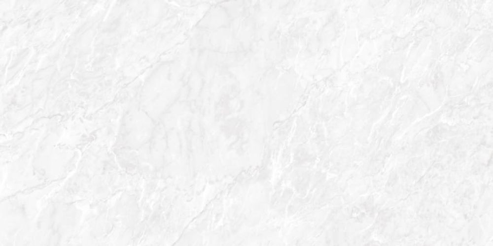 Neodom Ambassador Carrara Pearl Polished 60x120