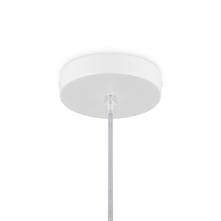 Подвесной светильник Freya Cottage FR5405PL-01W1