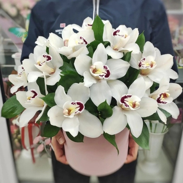 Коробка с 19 белыми орхидеями