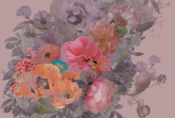 Коллекция Flower Dreams