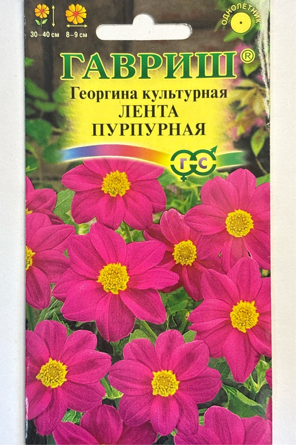Георгина Лента пурпурная 0,2 г СМЦ-268
