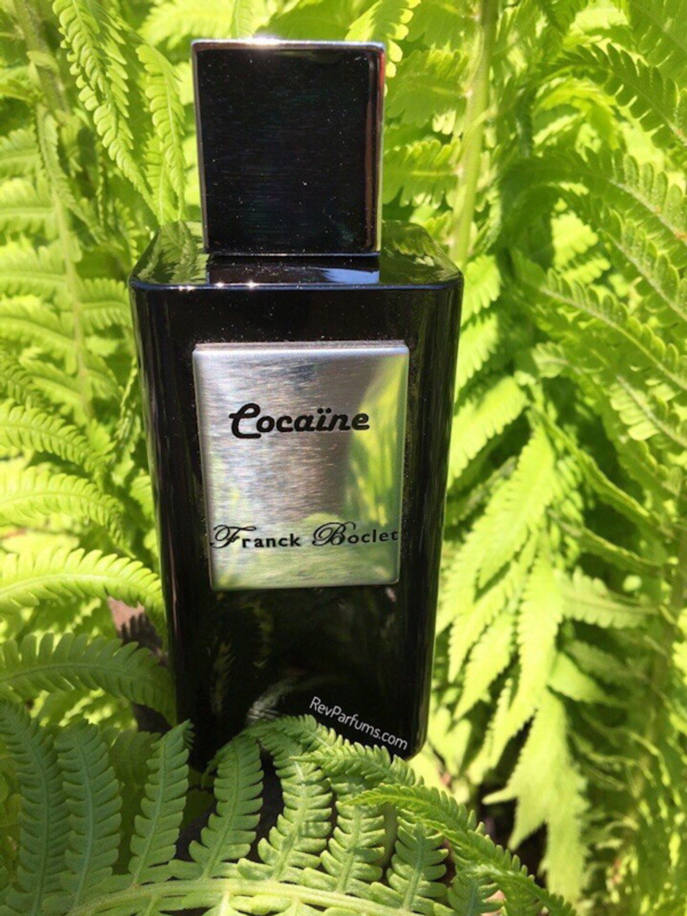 Franck Boclet Cocaine