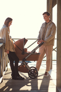 Детская коляска Anex l/type 3 в 1 Hazel