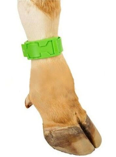 Ножные ленты Банды КРС, зеленые, 10 шт