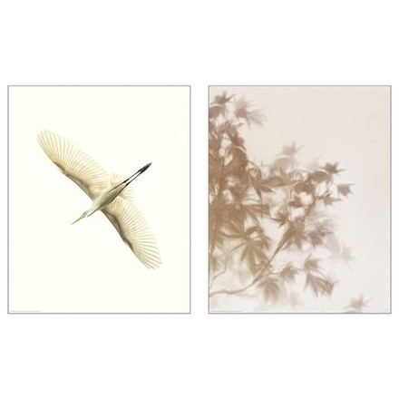 IKEA BILD  (ИКЕА БИЛД)  -  Плакат, высокий полет, 40x50 см