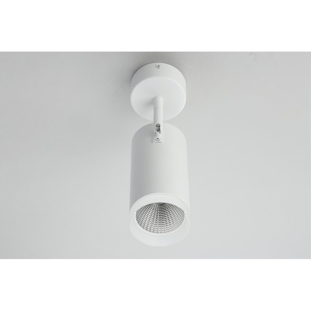 Накладной светодиодный светильник Omnilux Maratea OML-102609-20