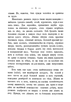 Рассказы из путешествий по Австралии | Чистяков Михаил Борисович