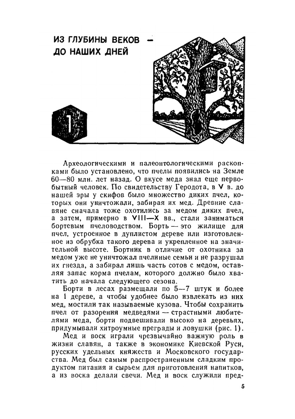 Приусадебная пасека | П.И. Тименский