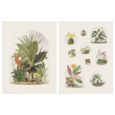 БИЛД BILD Плакаты «Тропические растения» 30х40 см 2 шт, бумага