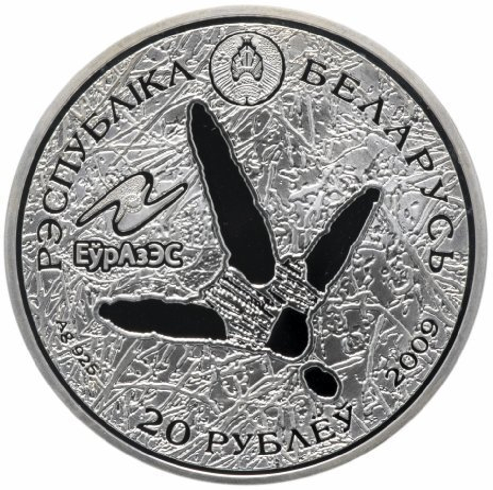 20 рублей. Белый аист Животный мир стран ЕврАзЭС. Беларусь. 2009 год. PROOF