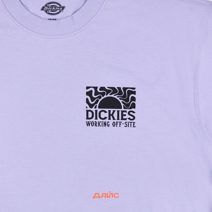 Футболка мужская Dickies Saltville Tee артикул:DK0A4YR9H181 - купить в магазине Дайс