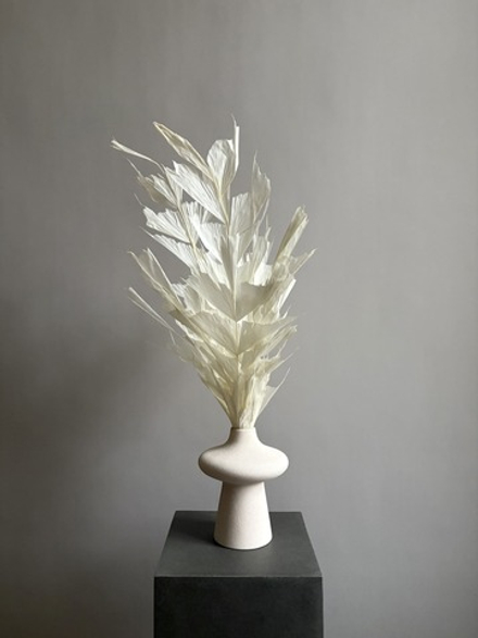 Кариота белая