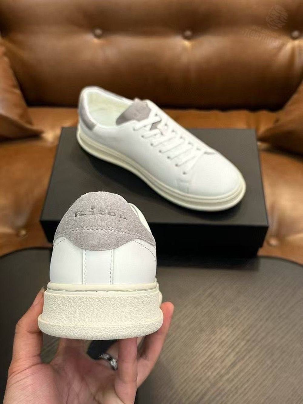 Кеды Kiton