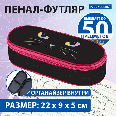 Пенал-футляр BRAUBERG, 1 отделение, органайзер, полиэстер, 22x9x5 см, "Cat eye", 271585