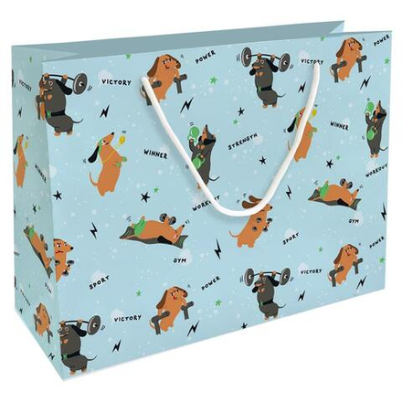 Пакет подар. бумажн. 36*29*12 см, 200гр/м2 Hobby. Голубой