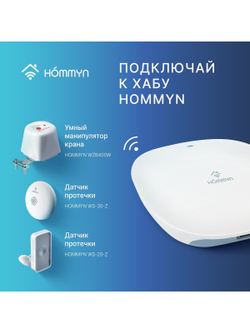 Блок управления (шлюз) HOMMYN Hub HH-01
