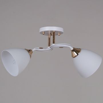 06104-0.3-02 WH+FG светильник потолочный