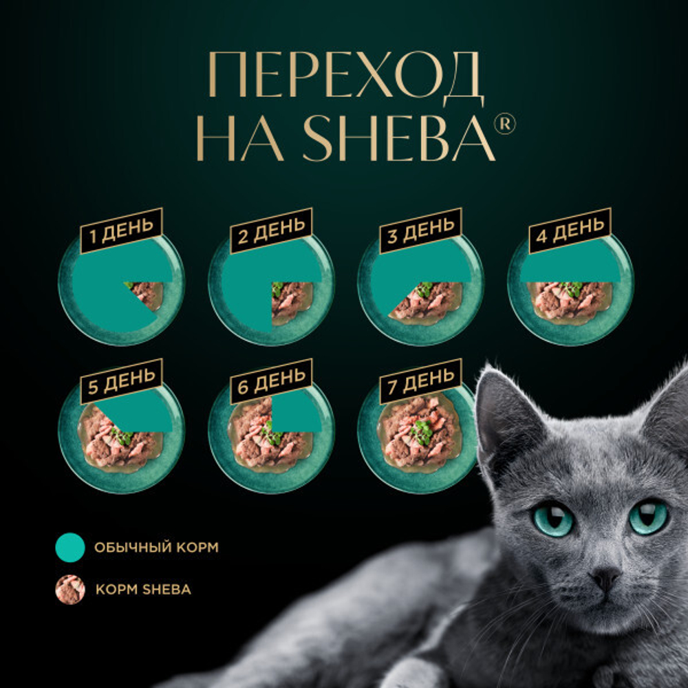 Ломтики в соусе форель и креветки, 75г влажный корм для кошек Sheba