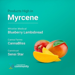 МИРЦЕН В ( В-MYRCENE NATURAL ) Ventós