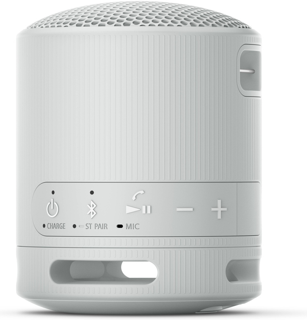 Sony SRS-XB100/HE серый