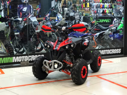 YACOTA RENEGADE mini 110 (красный)