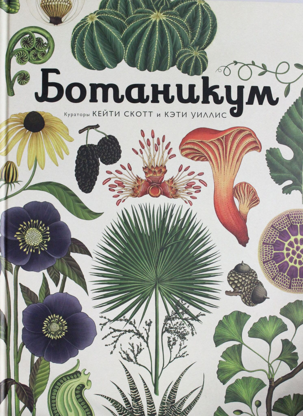 Ботаникум