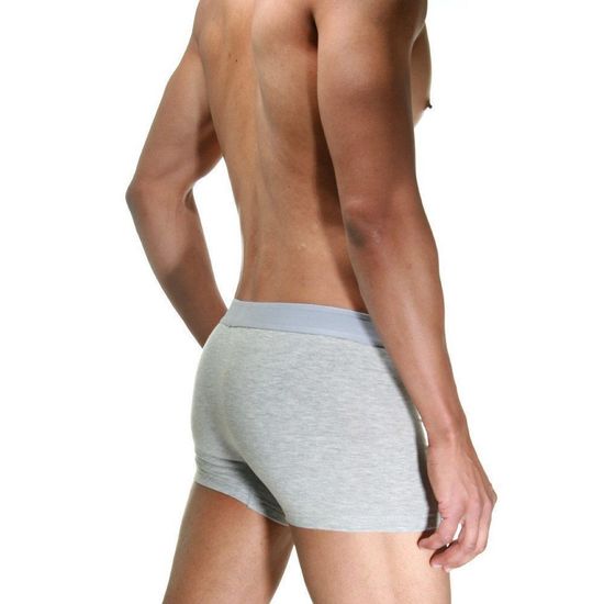 Трусы мужские боксеры светло-серые DARKZONE DZN2103