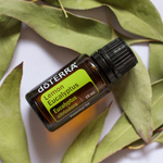 Эфирное масло doTERRA Лимонный эвкалипт, Lemon eucalyptus, 15 мл