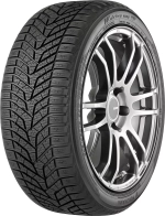 Зимняя шина Yokohama BluEarth Winter V905 (275/45 R21 110V)