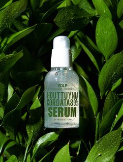 DERMA FACTORY Сыворотка для лица с экстрактом цветка хауттюйнии Houttuynia Cordata 89% Serum  (50 мл)
