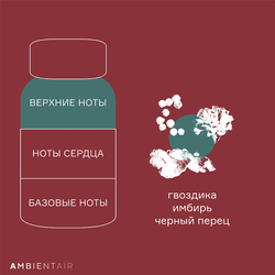 Диффузор ароматический Gifting, Gingerbread&Orange, 100 мл