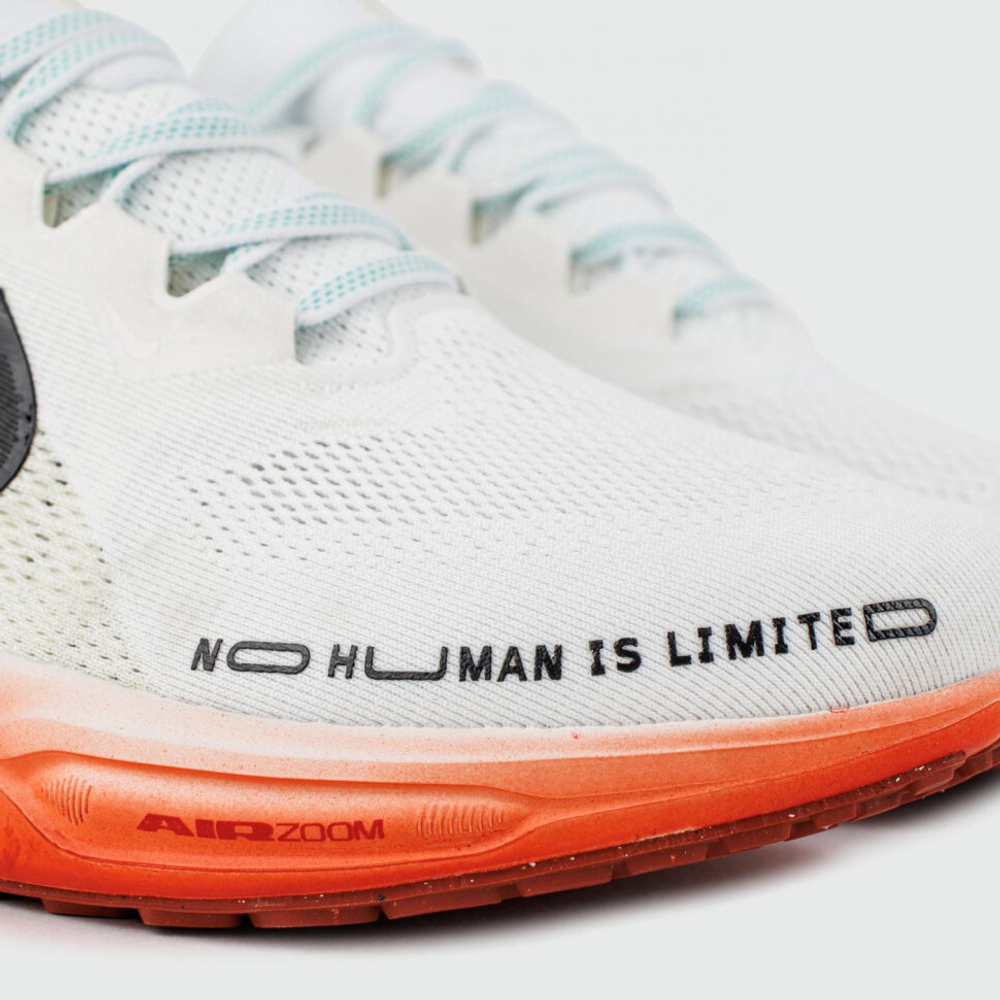 кроссовки Nike Air Zoom Pegasus 41 Eliud Kipchoge Wmns