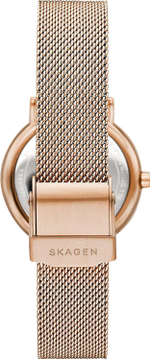 Женские наручные часы Skagen SKW2837