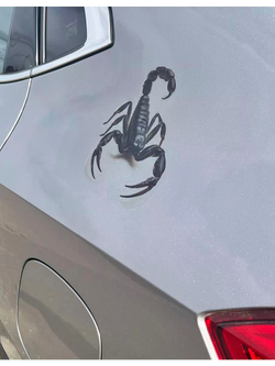 Наклейка на авто надпись с котом