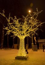Светодиодное Дерево